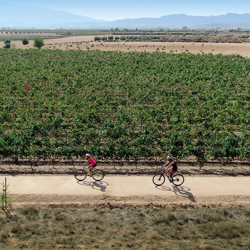  - Foto: TURISMO REGIÓN DE MURCIA 