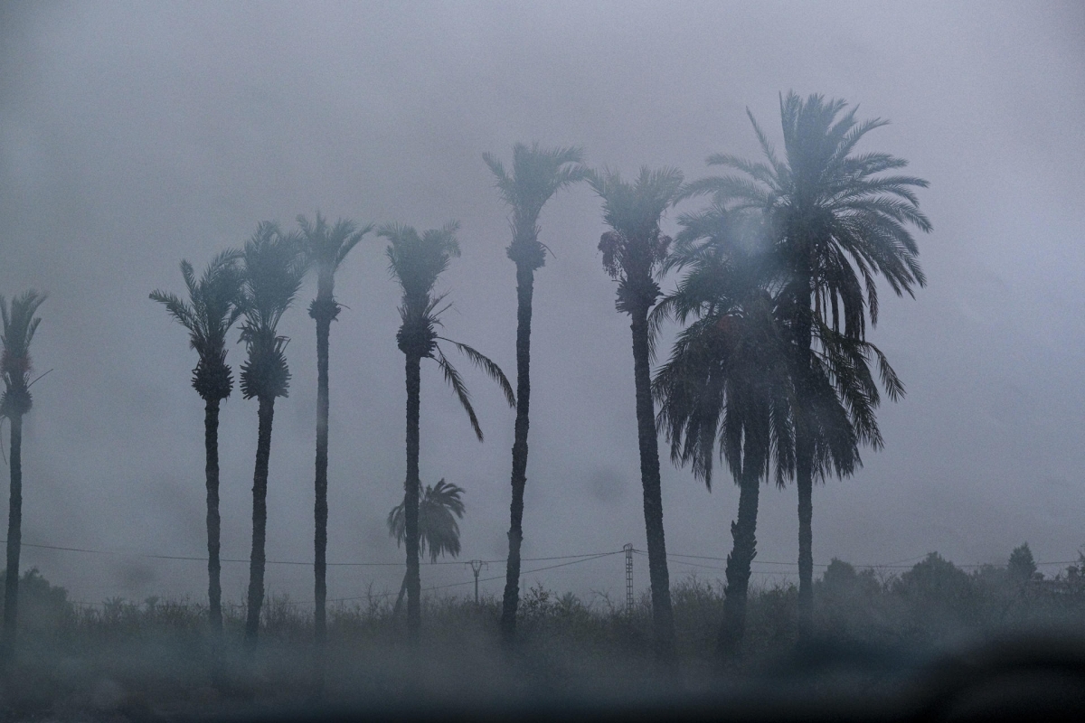 Desmontan la Fan Zone de la Selección en Elche por la alerta roja climatológica