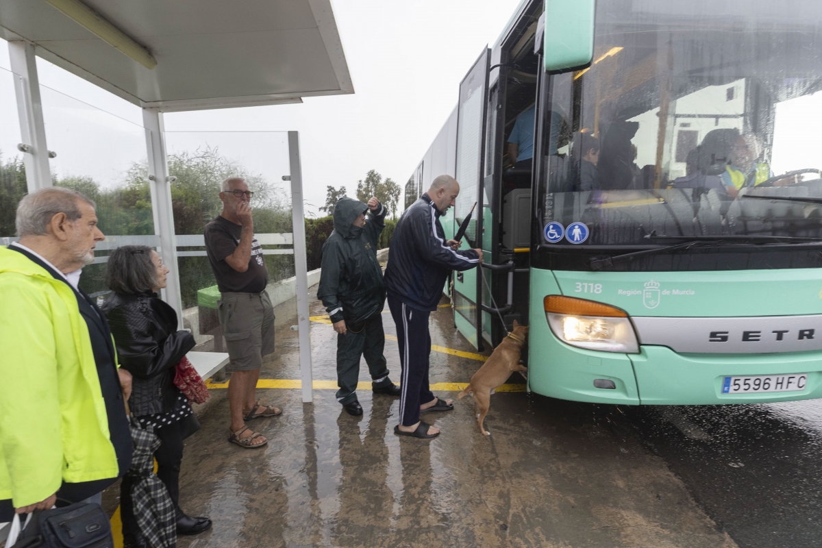  - Foto: EFE / MARCIAL GUILLÉN