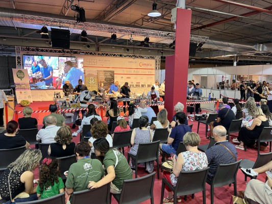 Diez chefs competirán por elaborar el mejor plato con alcachofa de la Vega Baja en Alicante Gastronómica
