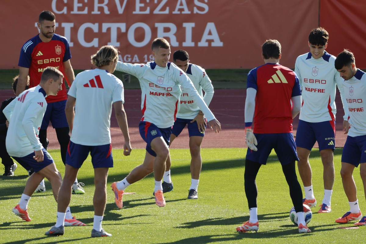 Dani Olmo se retira del entrenamiento y se somete a pruebas médicas - Foto: EFE
