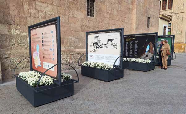 Vista de la exposición urbana Al abrigo de la prehistoria en la Plaza Santo Domingo