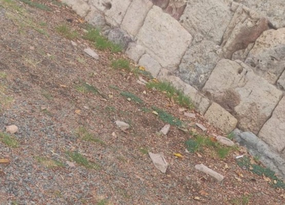 La muralla de Carlos III  de Cartagena presenta desprendimientos mientras se espera una actuación ¿municipal?