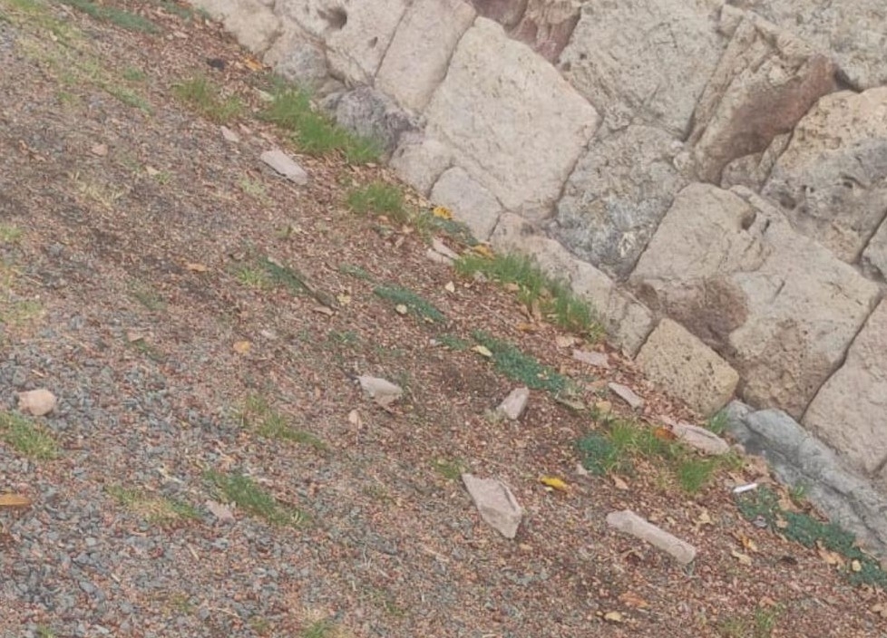 La muralla de Carlos III  de Cartagena presenta desprendimientos mientras se espera una actuación ¿municipal?