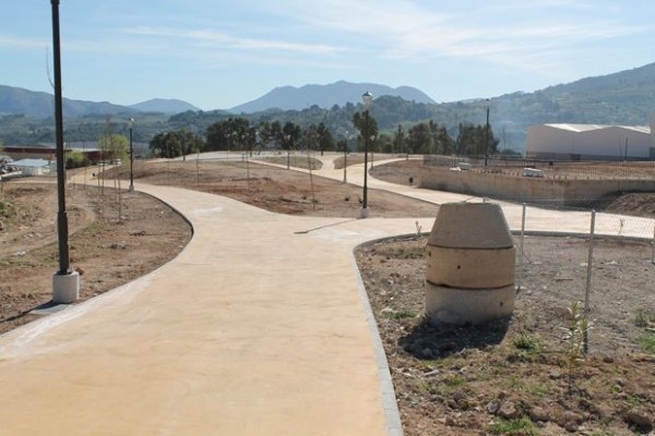 Segundo intento para plantar 3.000 árboles y arbustos en calles, parques y jardines de Alcoy por 293.000 euros