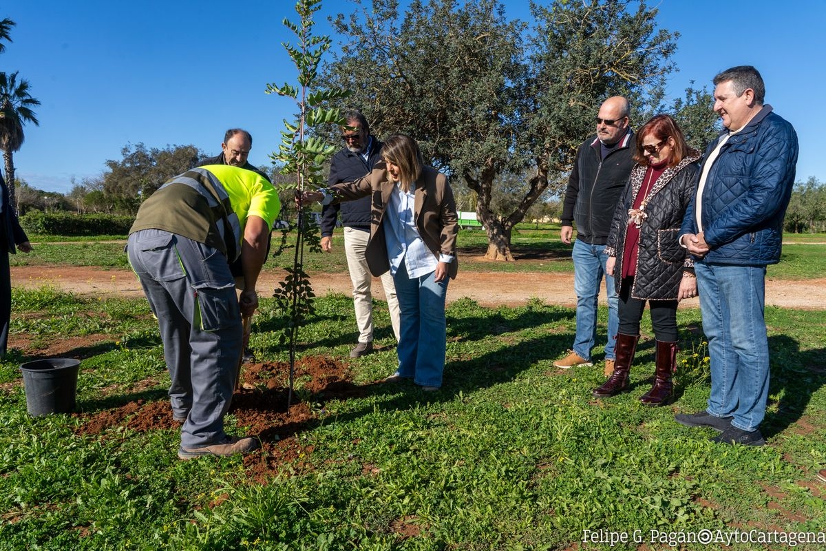 Cartagena invertirá 175.000 euros para mantener y mejorar el Polígono de Santa Ana