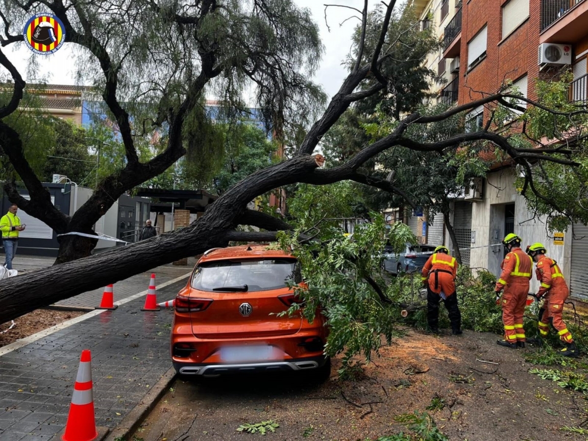 Bomberos retiran un árbol caído en las vías del tren en Massanassa y otro sobre un coche en Picanya