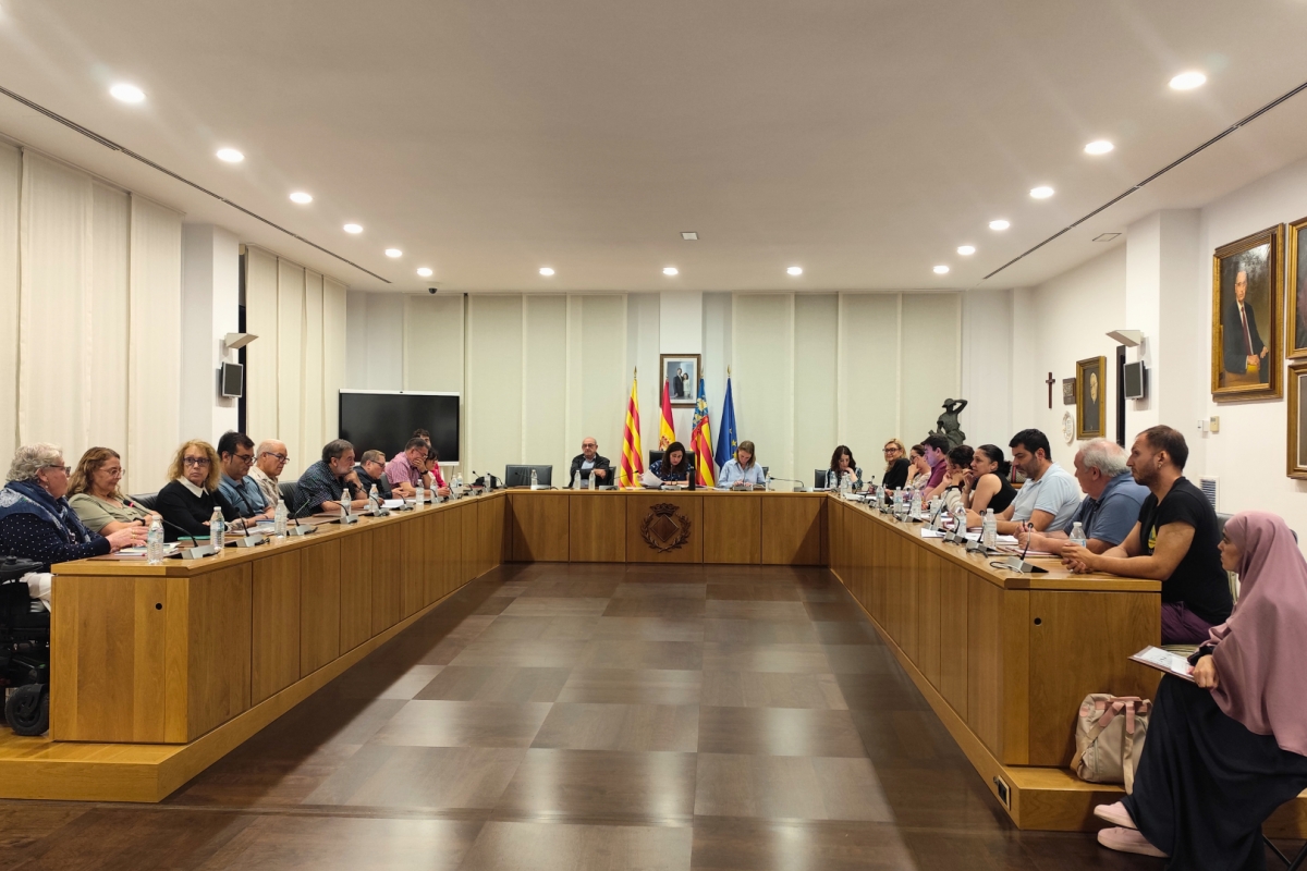 Vila-real escull la proposta guanyadora dels comptes participatius: nous passos de zebra intel·ligents