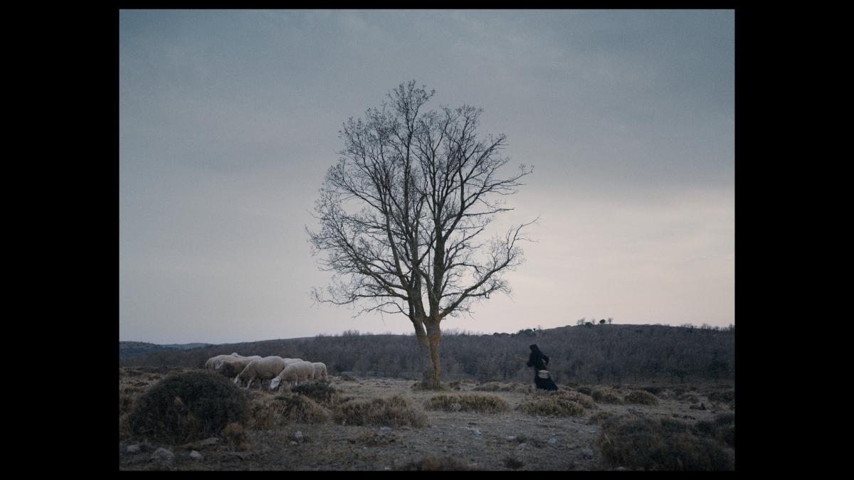 Un fotograma de Els mals noms