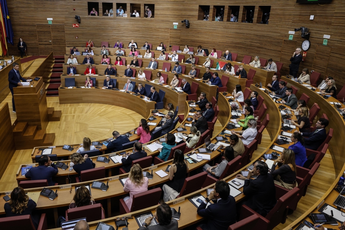 La bienvenida del PP en Les Corts al diputado de Compromís en la flotilla de Gaza: 