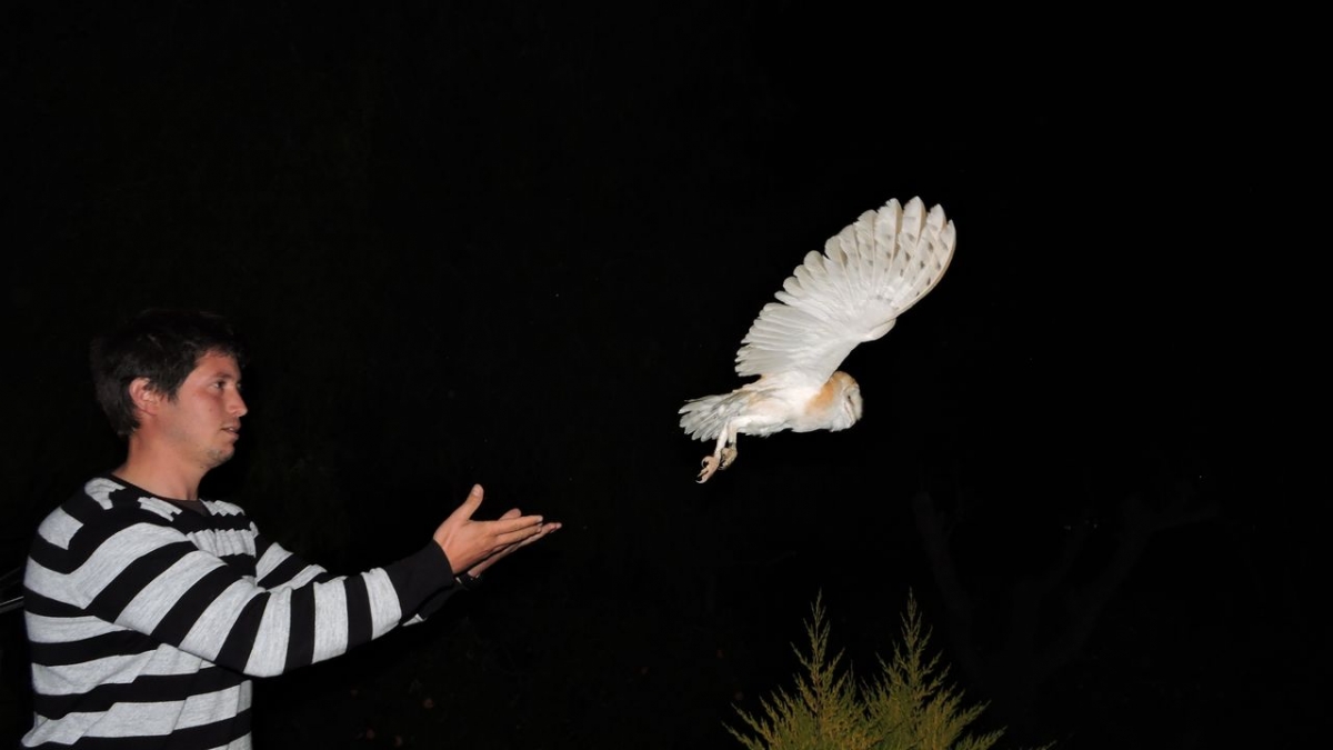  - Foto: Francisco A. García