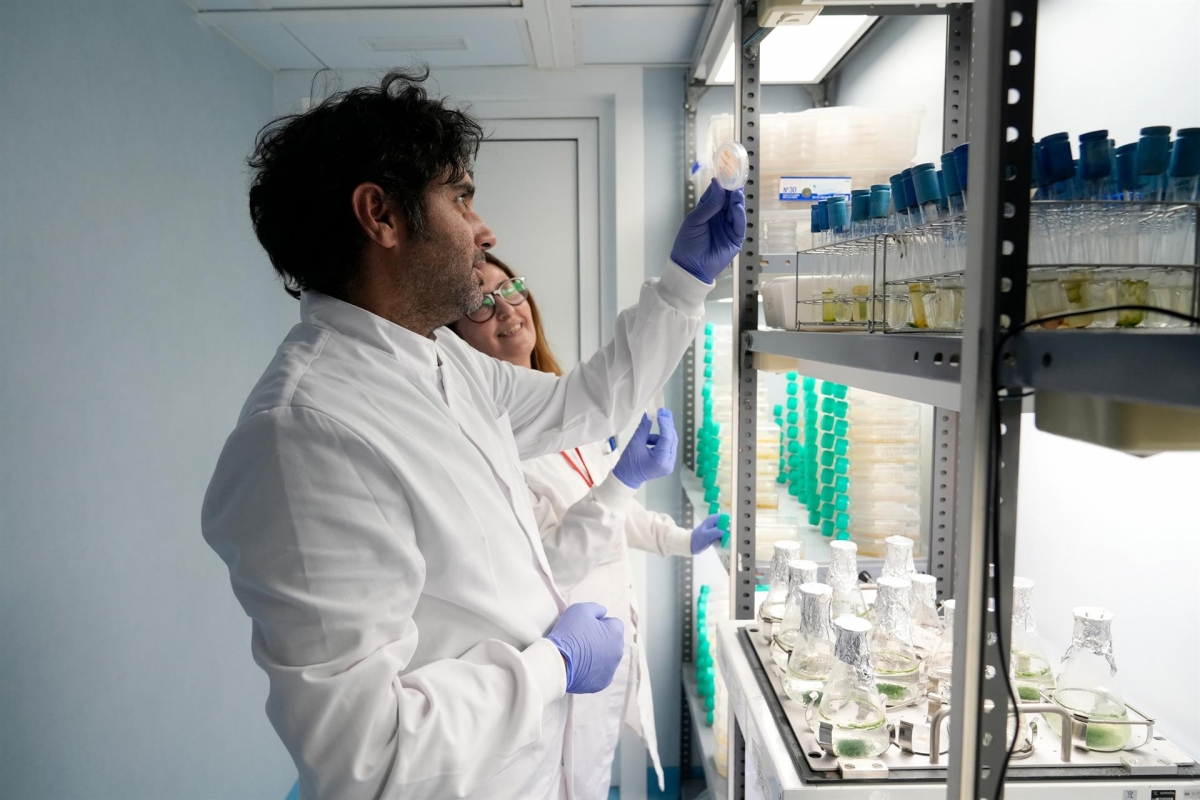 La UMU recibe 51 millones de euros de fondos europeos para financiar 180 proyectos y más de 350 empleados