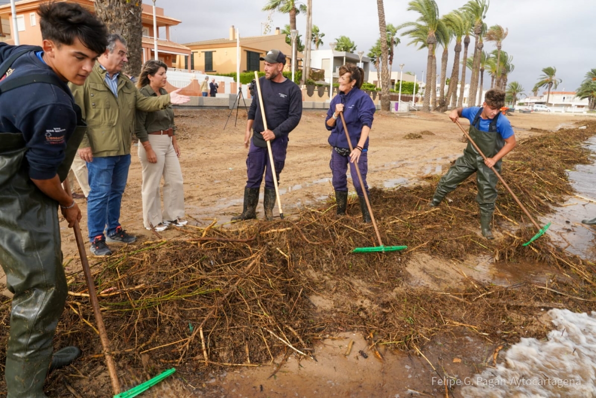 Los trabajos de recuperación del litoral sur del Mar Menor se centran en la retirada de arrastres y la limpieza de barro