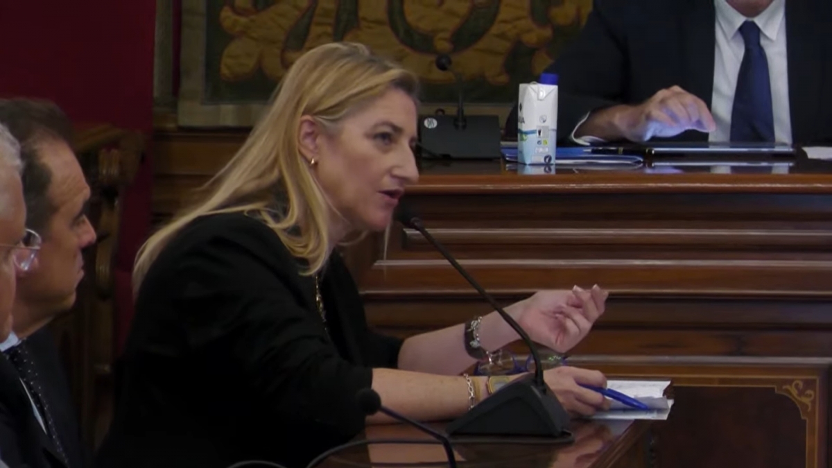 La portavoz del PP, Mari Carmen de España.