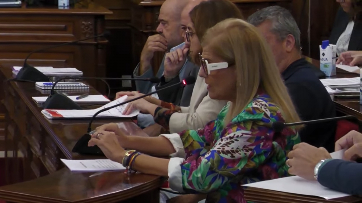 La portavoz de Vox, Carmen Robledillo.