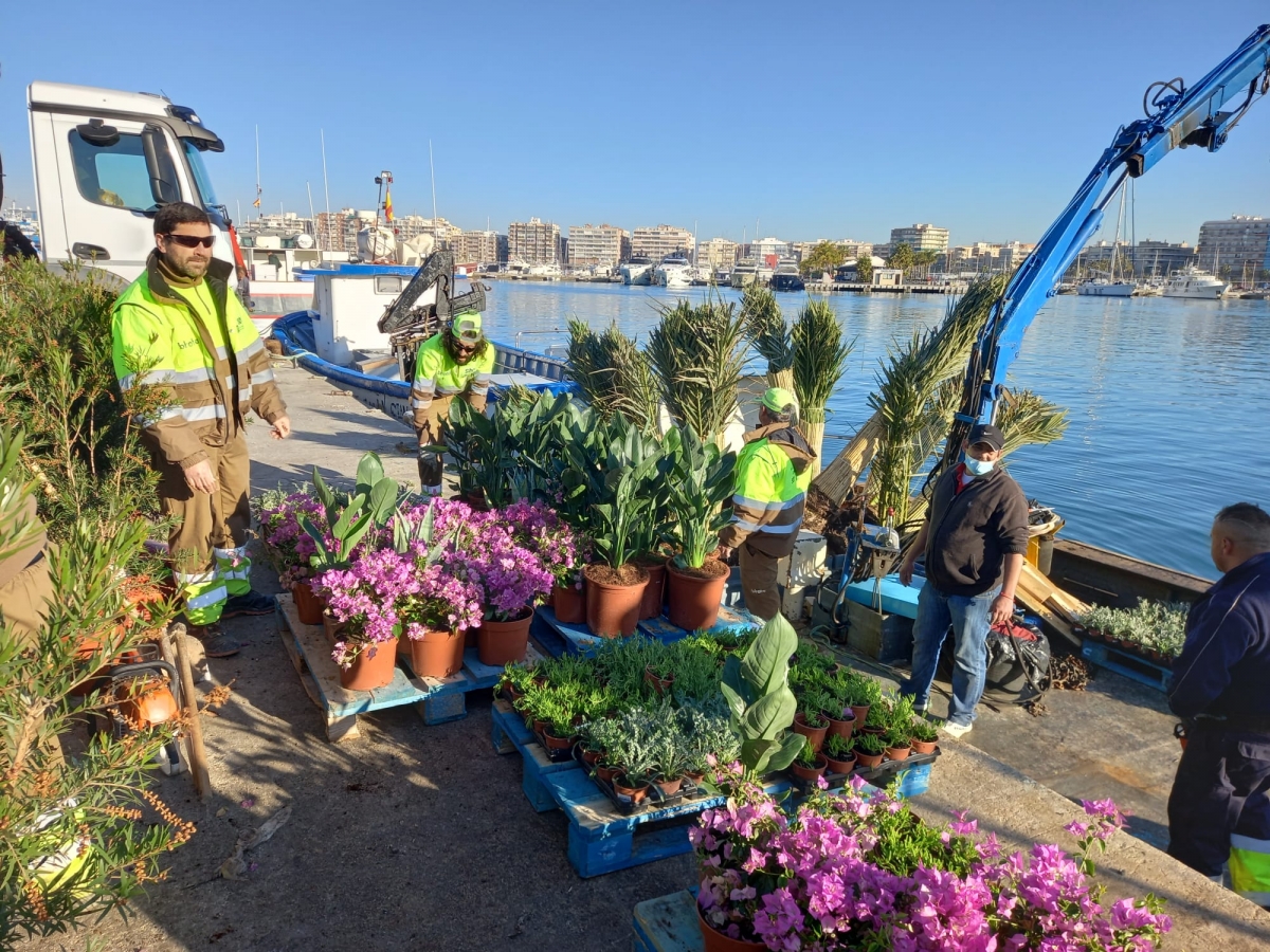 Alicante licita la contrata de jardines por 44,7 millones y previsiones de ampliación de plantilla