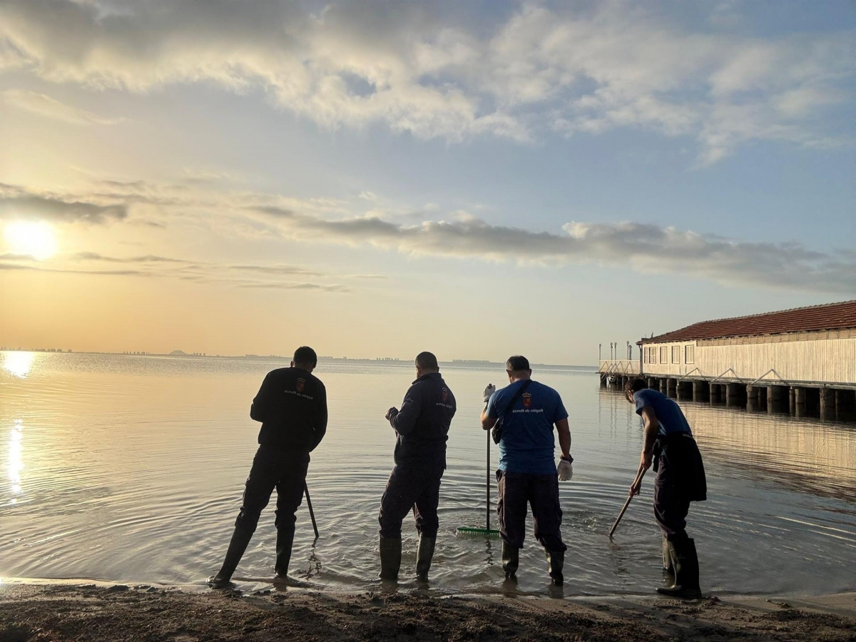 Los operarios retiran biomasa en la playa de Los Urrutias, en del Mar Menor. - Foto: CARM 