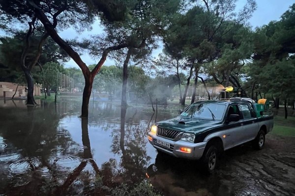 Castelló intensifica la lucha contra los mosquitos en el Grau: actúa en el Pinar y la zona de la Marjalería