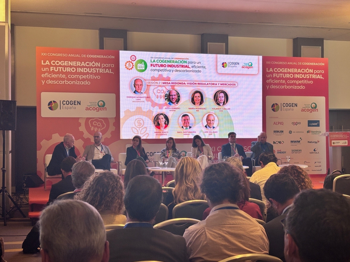 Las subastas de la industria de cogeneración, clave en el azulejo, serán en el primer semestre de 2026: hay 1.300 millones en juego