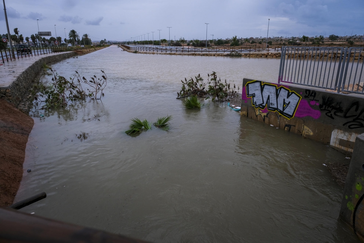 De ruta hacia la dana 