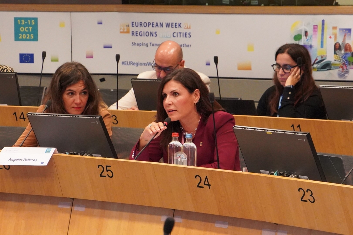 La diputada provincial María Ángeles Pallarés - 