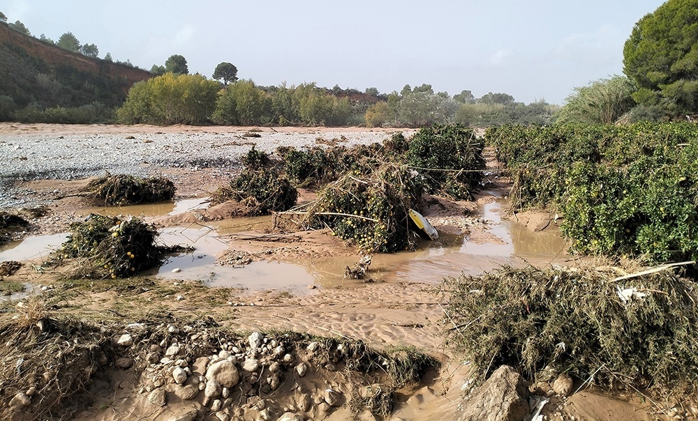 AVA-Asaja pide al Miteco ayudas adicionales por la pérdida de propiedad de campos que pasan a dominio público hidráulico