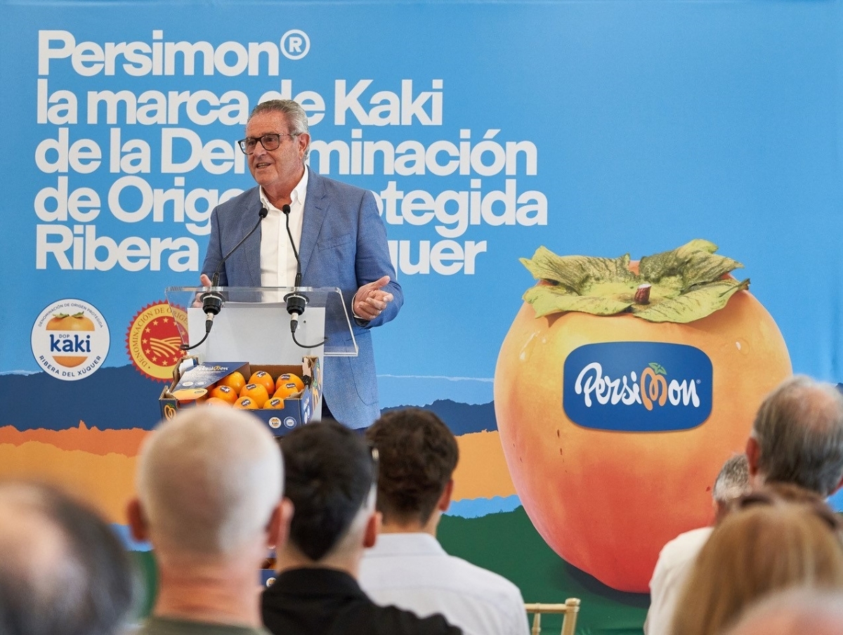 La DOP Kaki Ribera del Xúquer arranca su campaña de recogida con previsión positiva