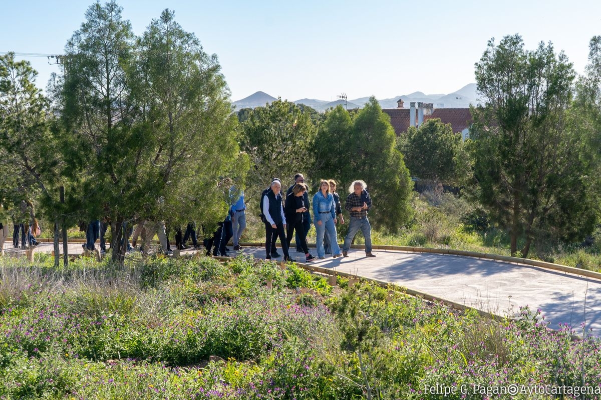 Cartagena señalizará el Bosque Romano con nuevos carteles informativos sobre biodiversidad