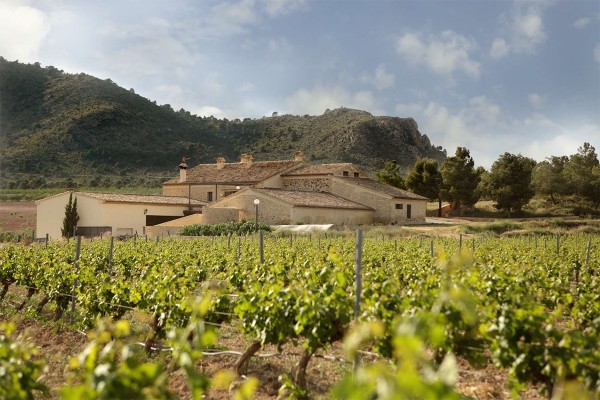 Finca Collado denuncia el atropello ambiental del macroparque solar Argos en la sierra de Salinas