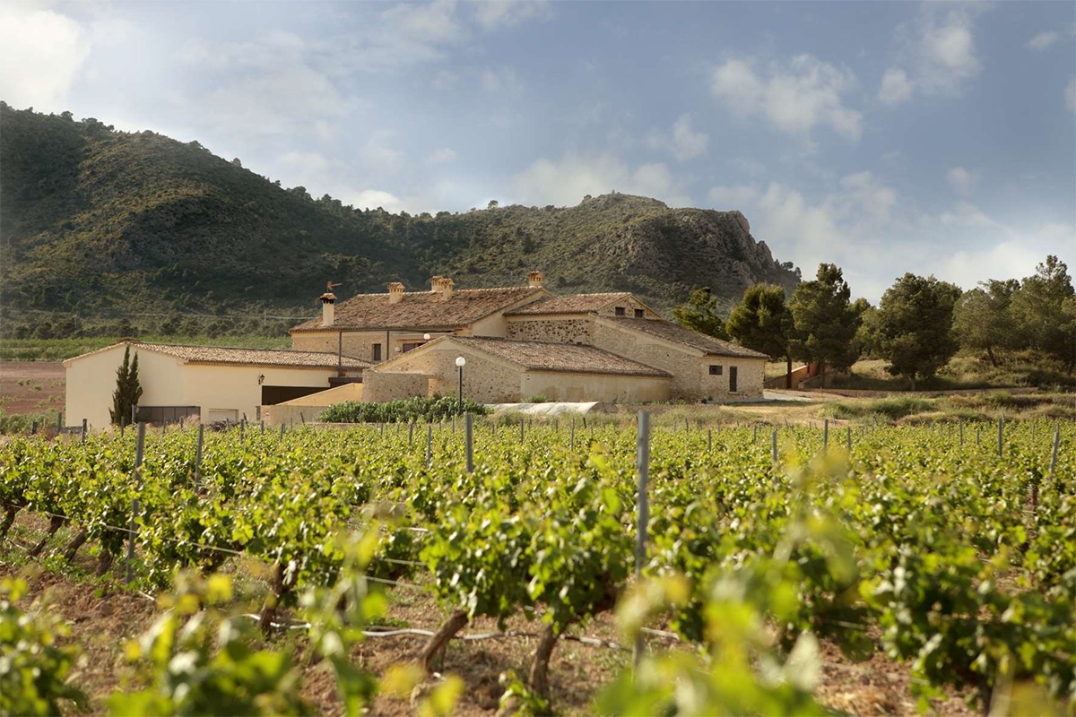 Finca Collado denuncia el atropello ambiental del macroparque solar Argos en la sierra de Salinas