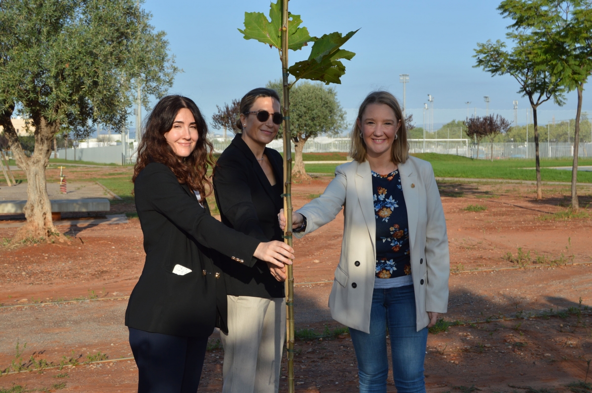 Vila-real dotarà de zones d’ombra natural la Ciutat Esportiva Municipal de la mà de Grupo Pamesa