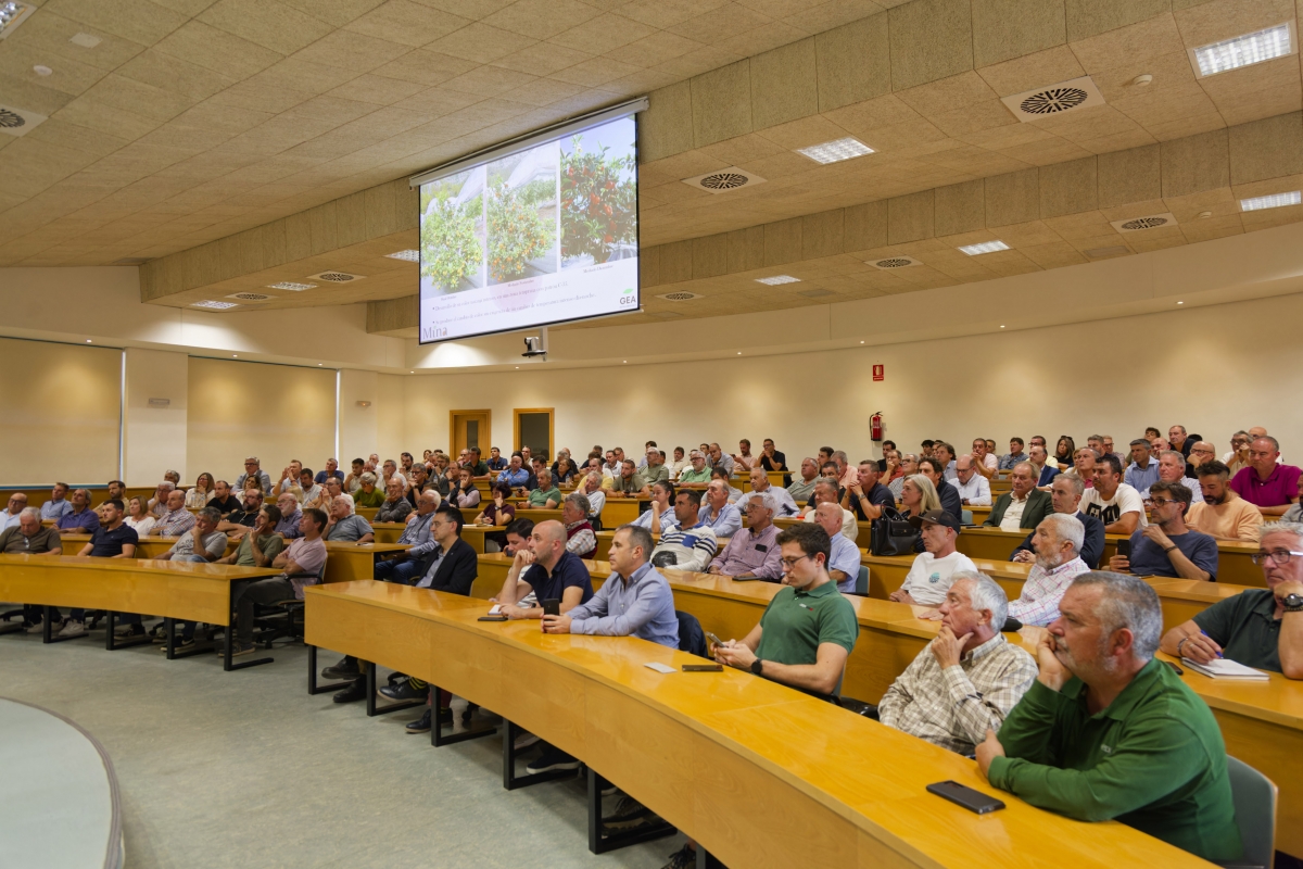  - Foto: ANTONIO PRADAS