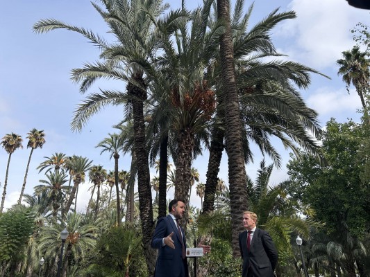 Elche recibe al alcalde de Badajoz con motivo del Año Jubilar y le dedica una palmera