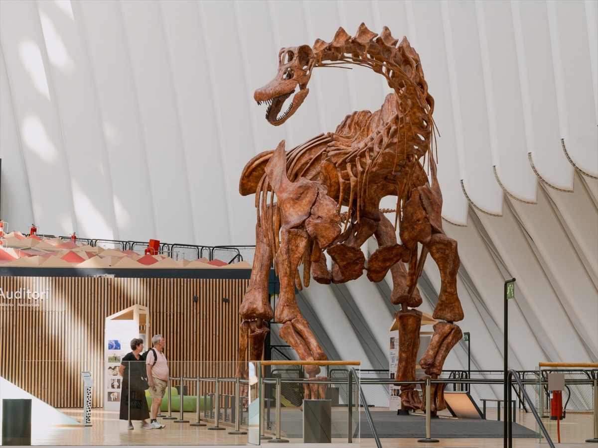 Los dinosaurios de la Patagonia se instalan en CaixaForum València