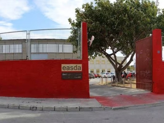 La Escuela de Arte y Superior de Diseño de Alicante imparte clases en línea por una plaga de pulgas