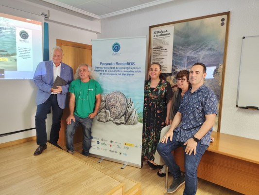 Un nuevo programa avanza en el uso de las ostras para contribuir a la restauración del Mar Menor