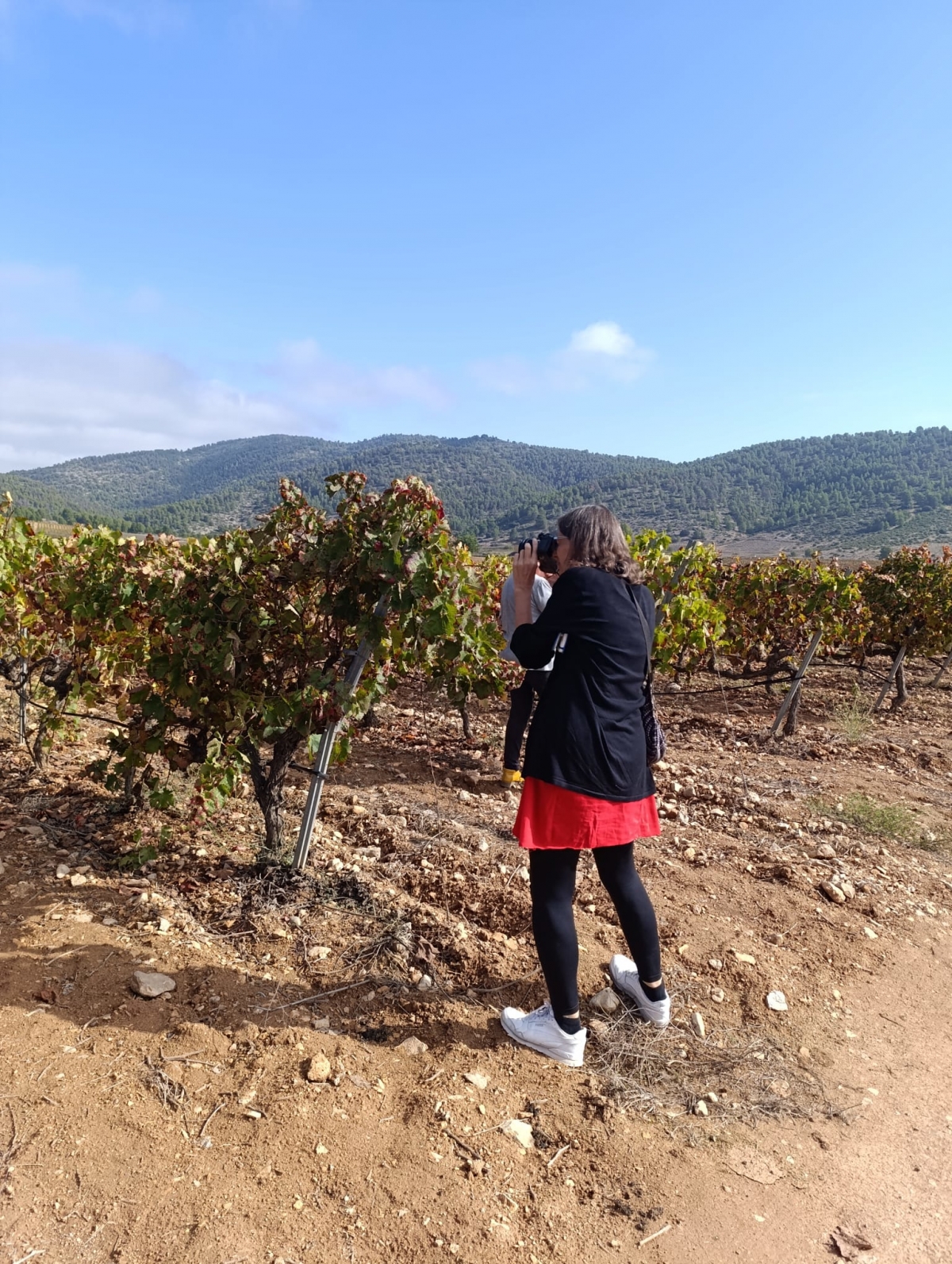 La Región busca posicionarse como destino cultural y de naturaleza para atraer al turista alemán 