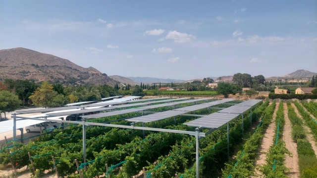 La bodega Casa Sicilia de Novelda acoge una jornada sobre la revolución sostenible en el viñedo