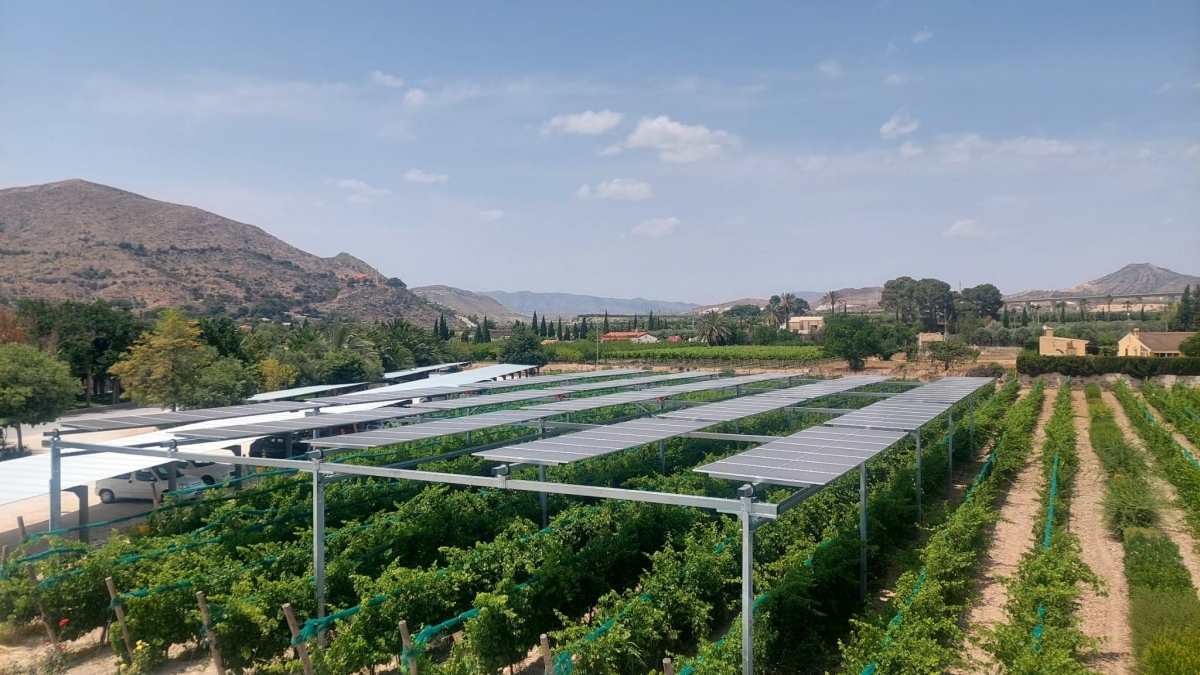 La bodega Casa Sicilia de Novelda acoge una jornada sobre la revolución sostenible en el viñedo