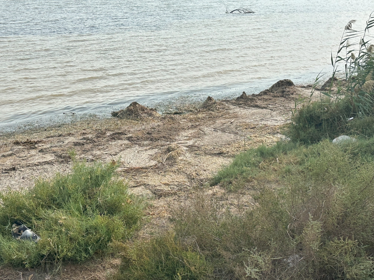 MC pide que se restituya la red de salmueroductos para rebajar el nivel del acuífero y frenar el deterioro del Mar Menor