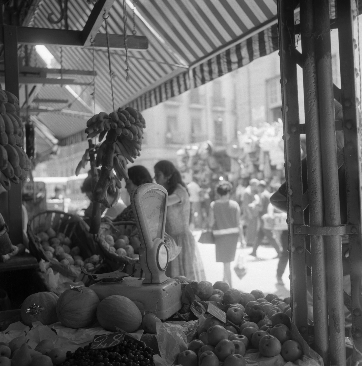 Alicante celebra el Día del Comercio Local con una muestra fotográfica que rinde homenaje al sector