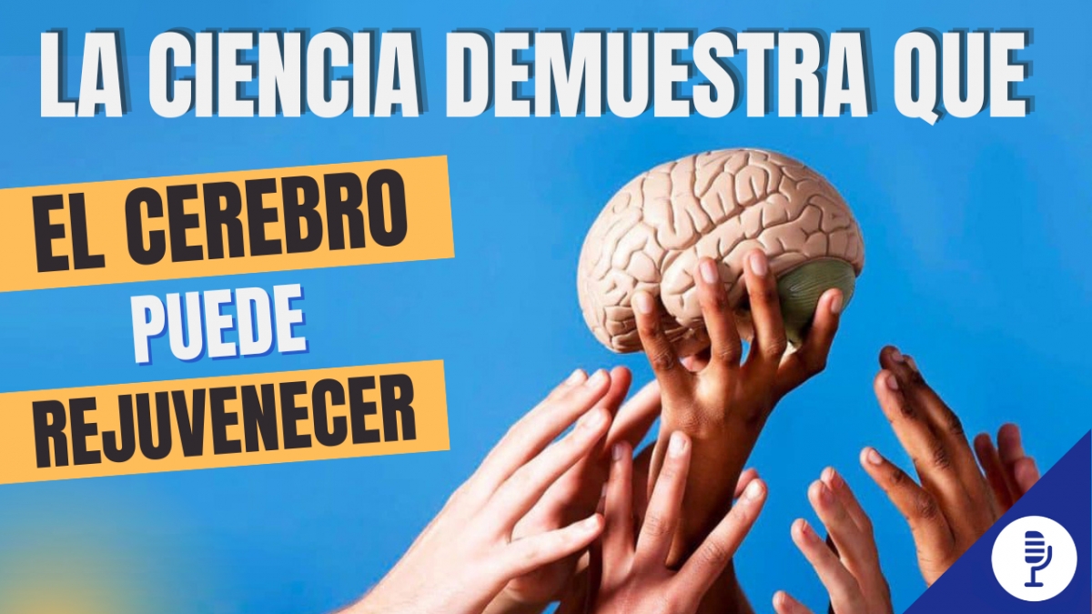 La ciencia demuestra que el cerebro puede rejuvenecer