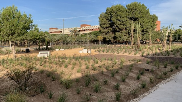 La UMH recepciona la urbanización y ajardinamiento del edificio Valverde del campus de Elche