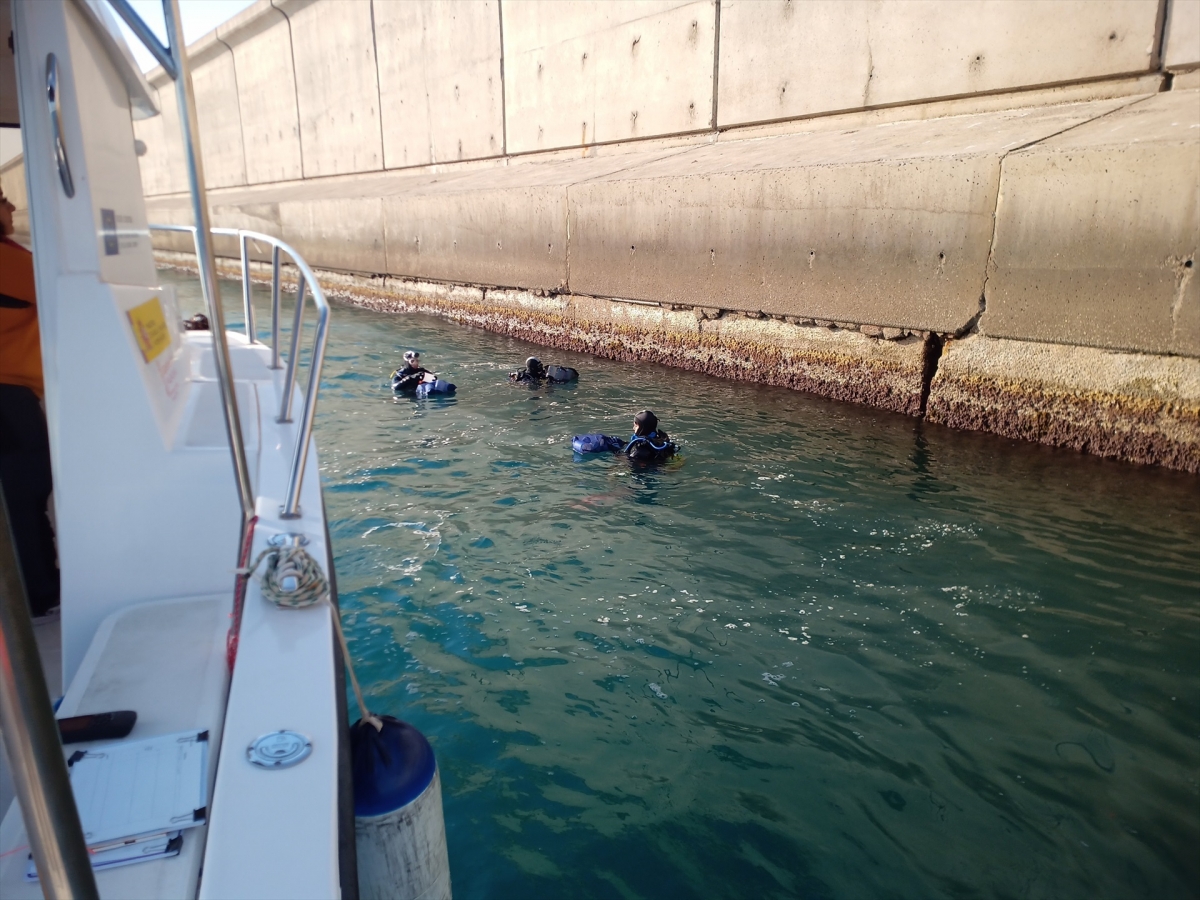 Fundación Valenciaport participa en un proyecto para impulsar detección temprana de especies invasoras en agua de lastre