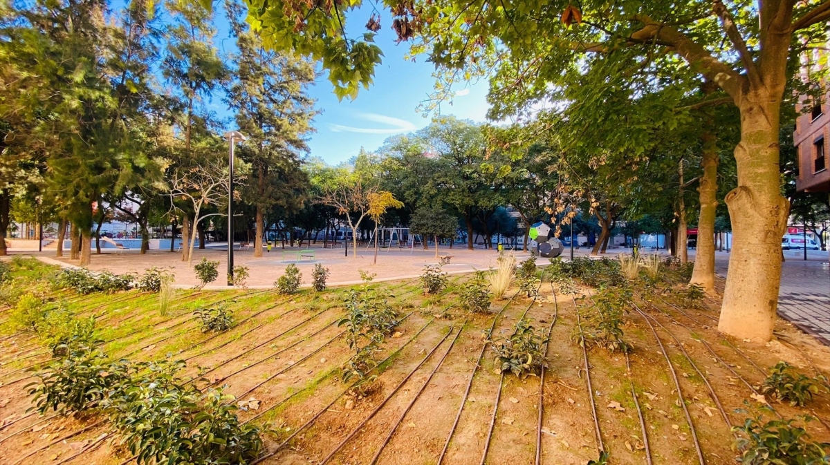 Parques y Jardines inicia esta semana la campaña de plantación de árboles con más de 700 ejemplares