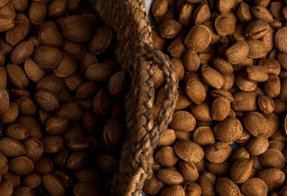 La marcona, una almendra única a punto de desaparecer