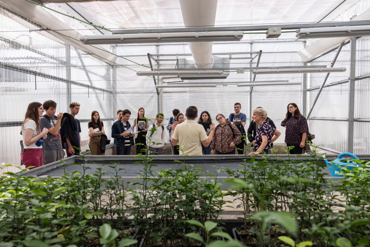 La cátedra Facsa de la UJI y Fundación Síndrome de Down lanzan un programa para fomentar el empleo