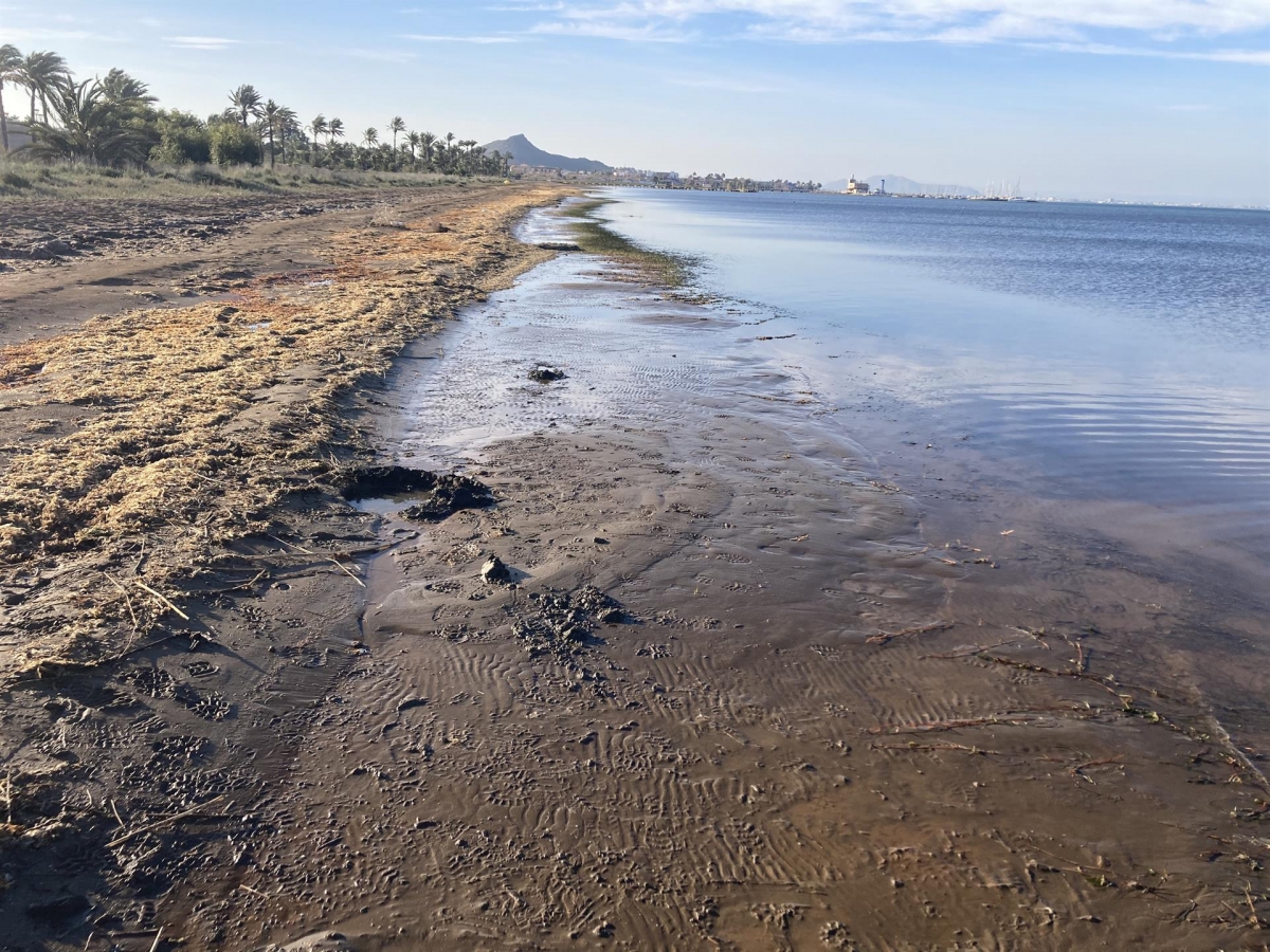 La Oficina Técnica del Mar Menor pide no entrar en una 
