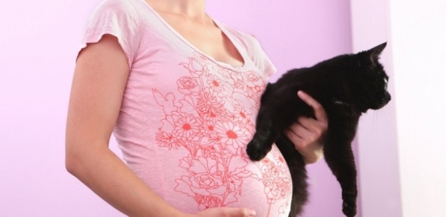 Claves y mitos de la toxoplasmosis