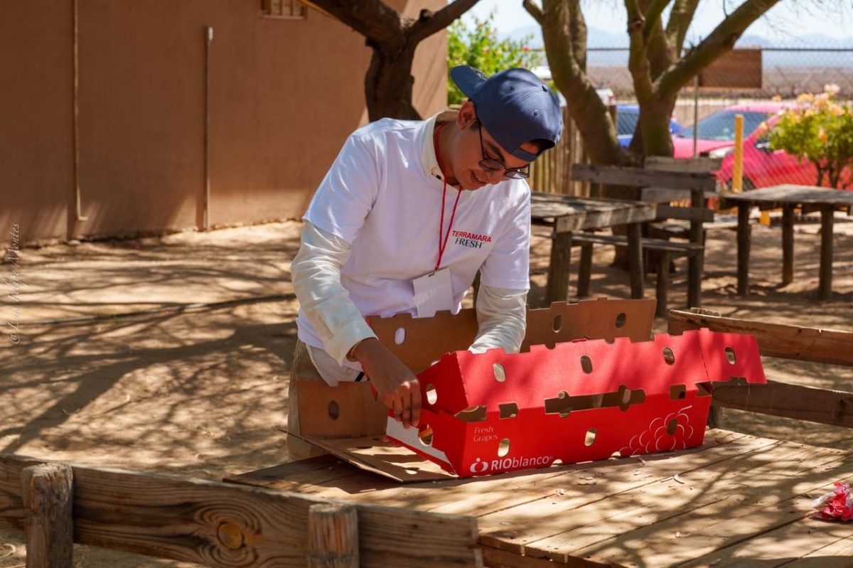 La murciana AM Fresh no cesa en su plan de adquisiciones y completa la compra de la mexicana Terramara